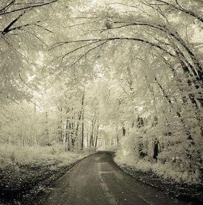 Meet your Posher, Jesse